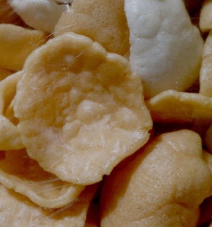 Keripik Ikan